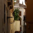 Altstadt Palma 3