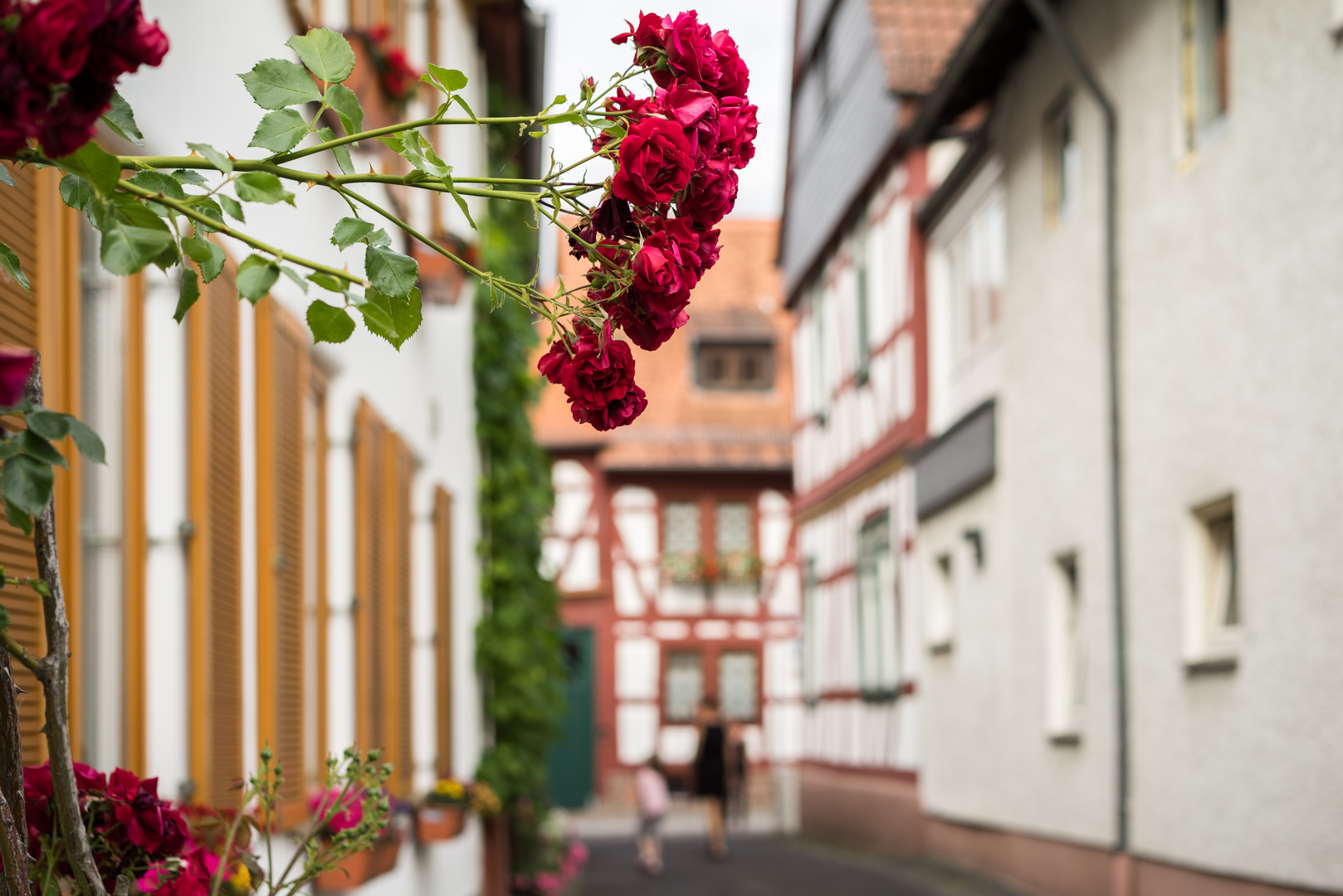 Altstadt-Rosen