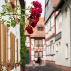 Altstadt-Rosen