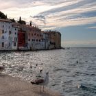 Altstadt Rovinj