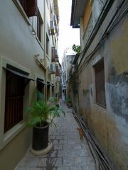 Altstadt Stone Town