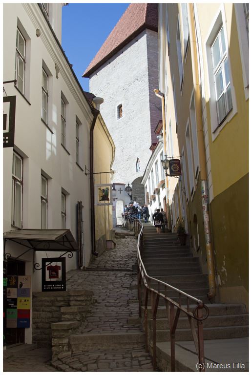 Altstadt Tallinn