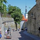 Altstadt, Tallinn