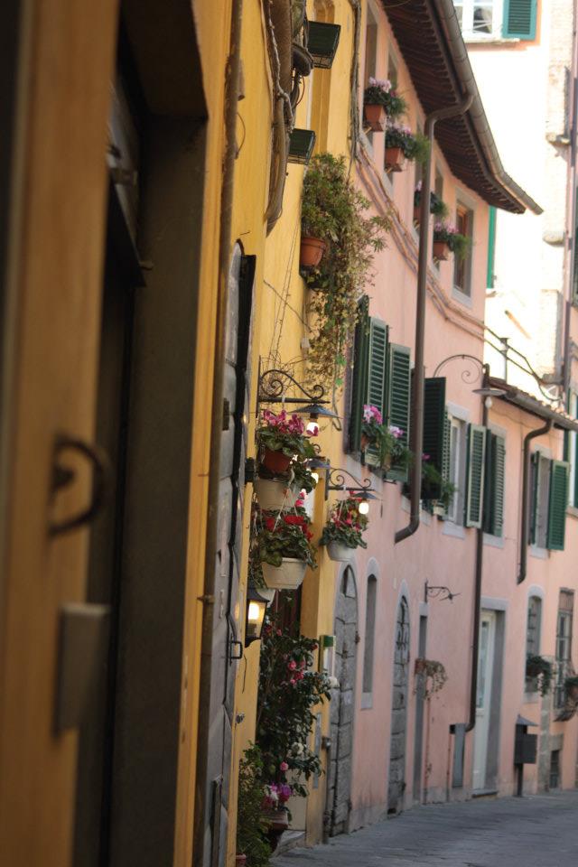 Altstadt von lucca