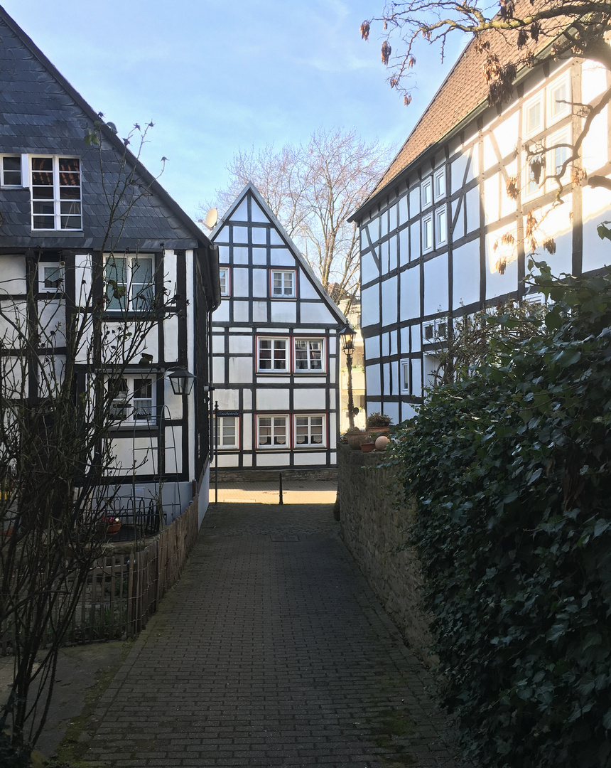 Altstadtblick