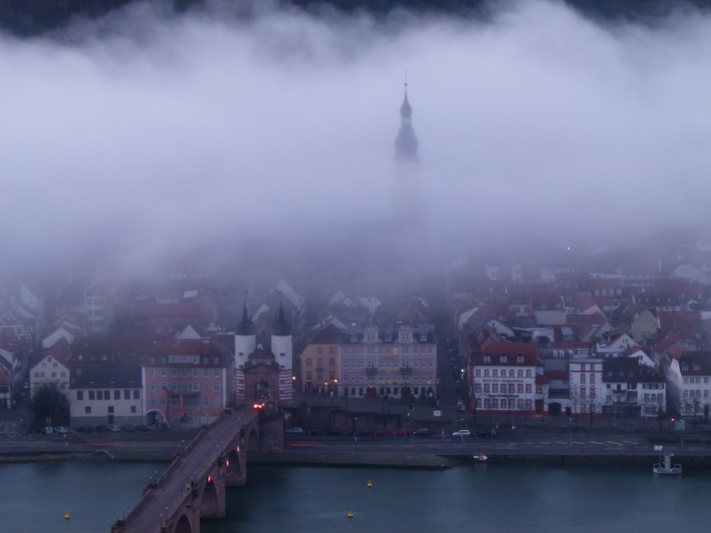 Altstadtdächer im Nebel