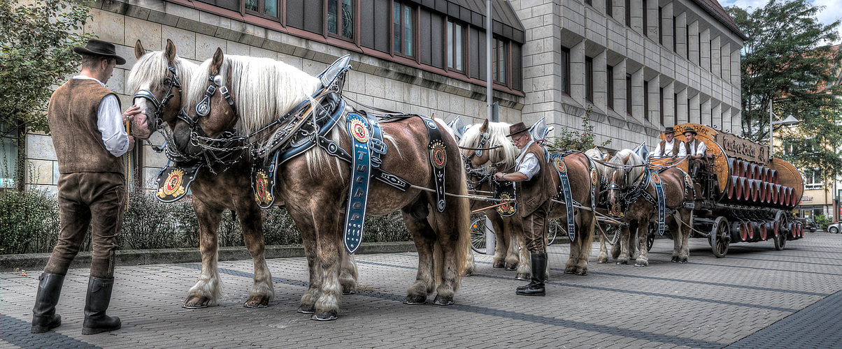 Altstadtfestzug (1)