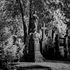 Altstadtfriedhof AB in infrarot