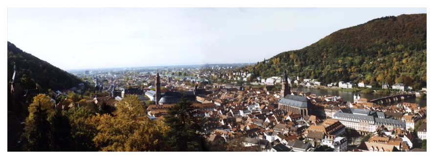 Altstadtpanorama Heidelberg