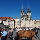 Altstädter Rathaus in Prag