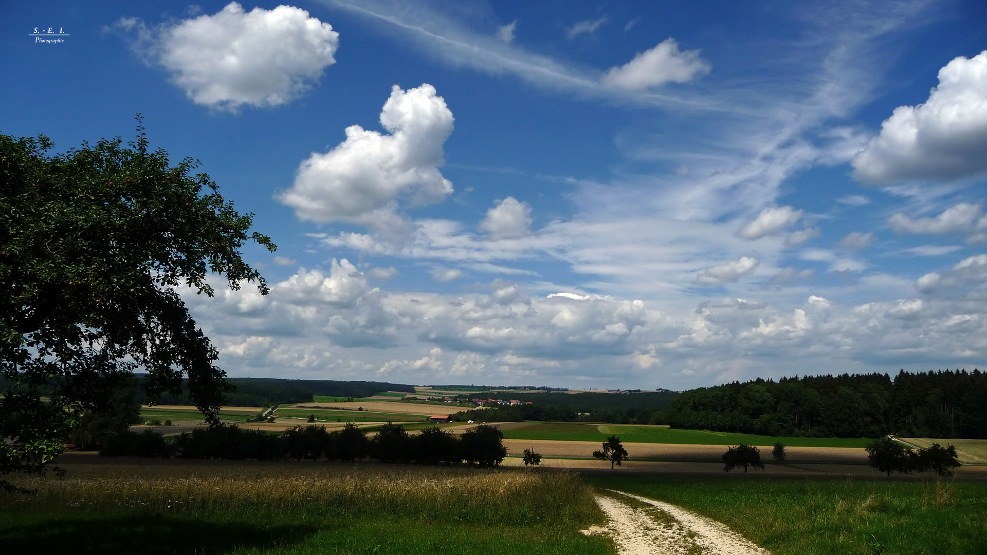 "Altsteußlingen bei Ehingen 3 mit Weitblick"