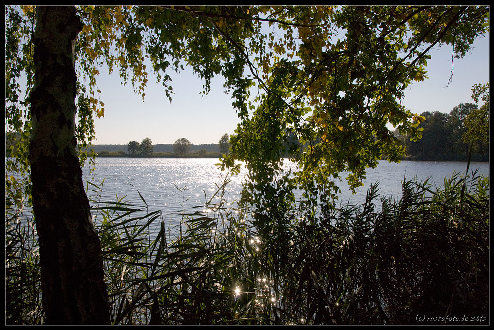 Altteich bei Mulknitz (Niederlausitz)