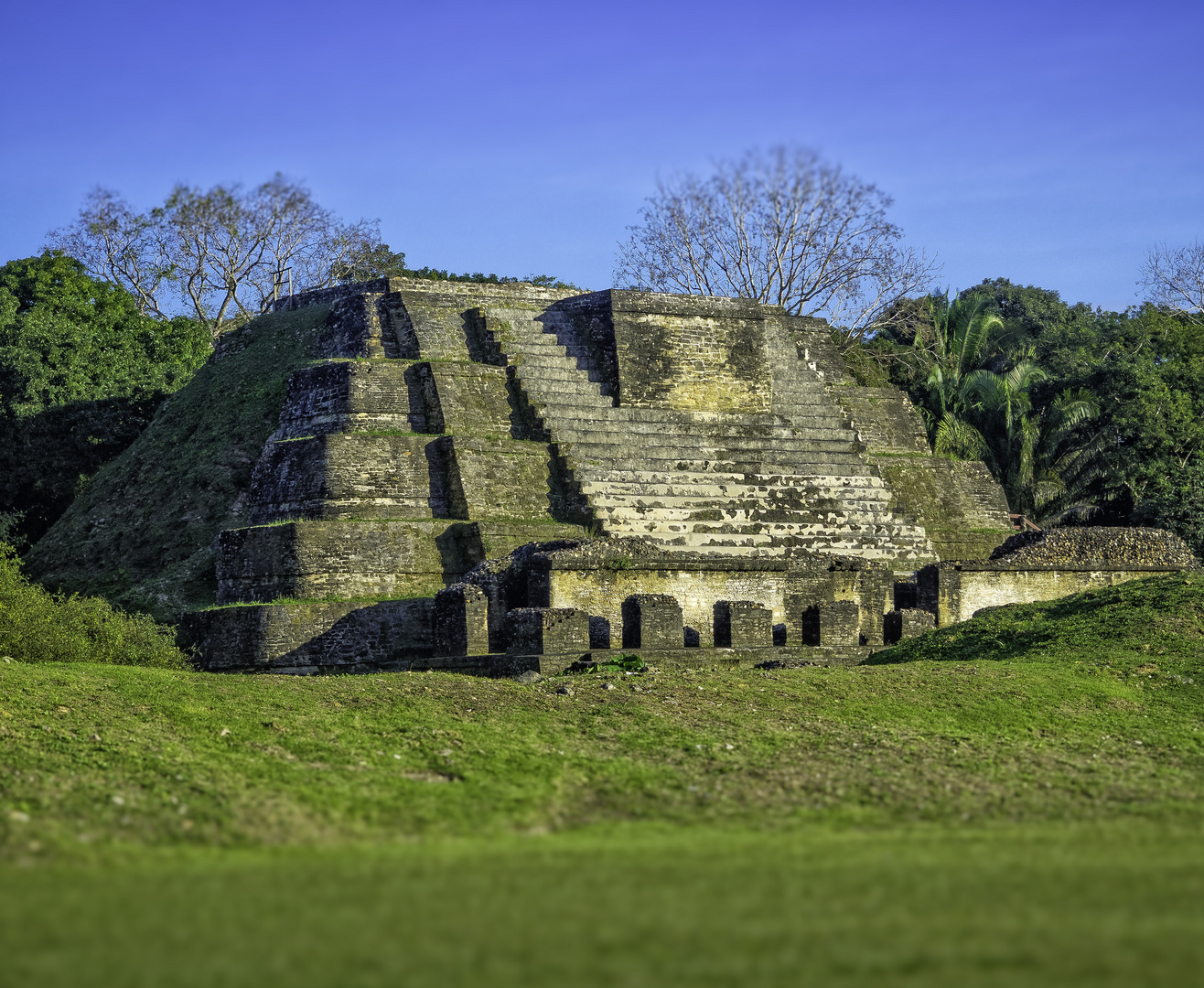 Altun Ha no.1