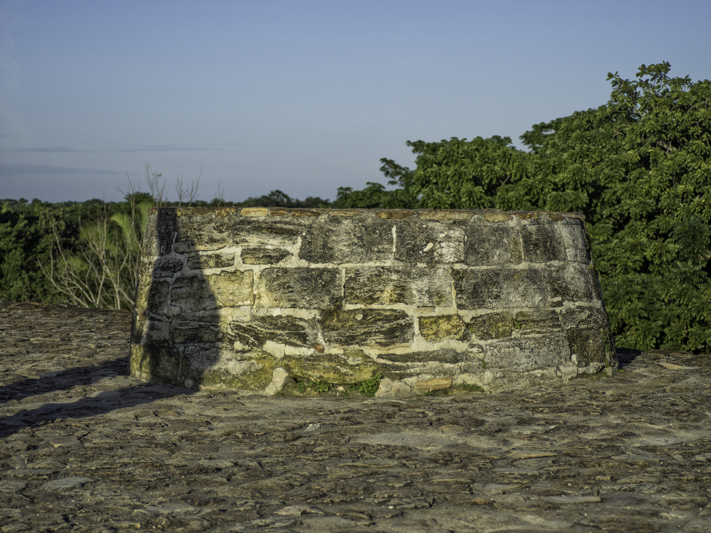 Altun Ha no.5