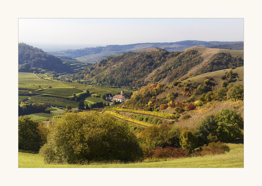 Altvogtsburg im Oktober