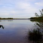 Altwarmbüchener See (Hannover)