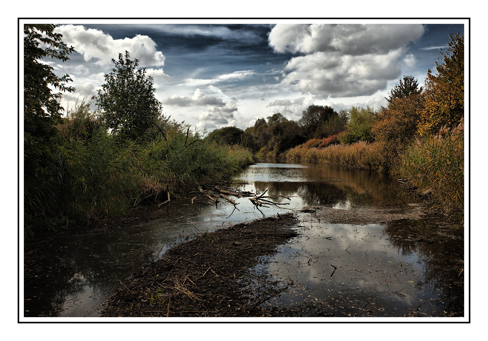 Altwasser an der Donau