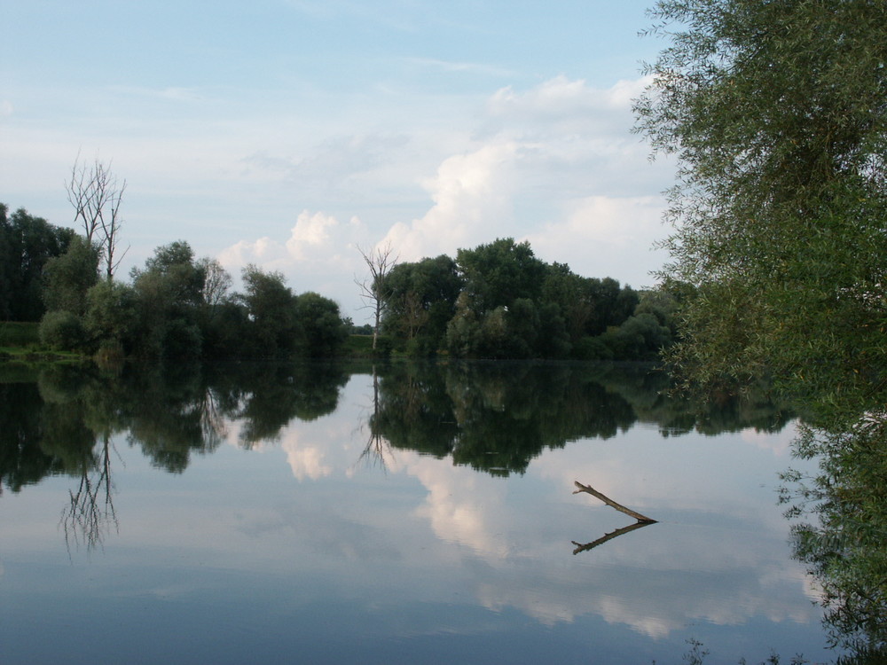 Altwasser an der Elbe