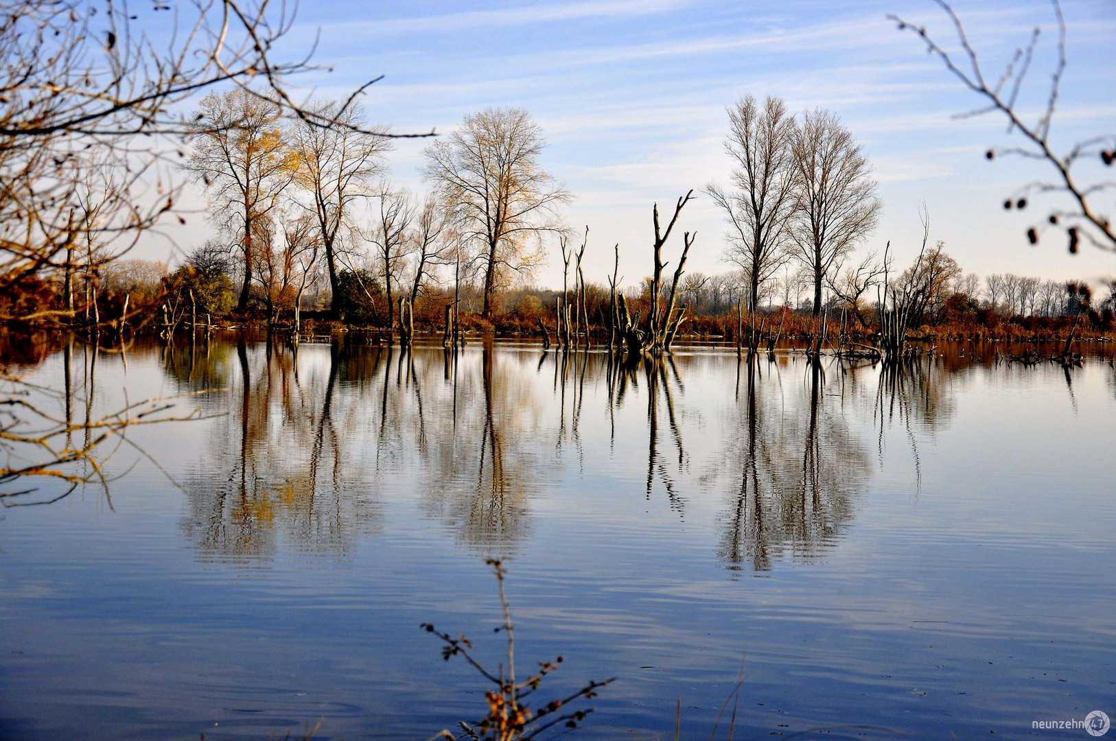 Altwasser (Donau)