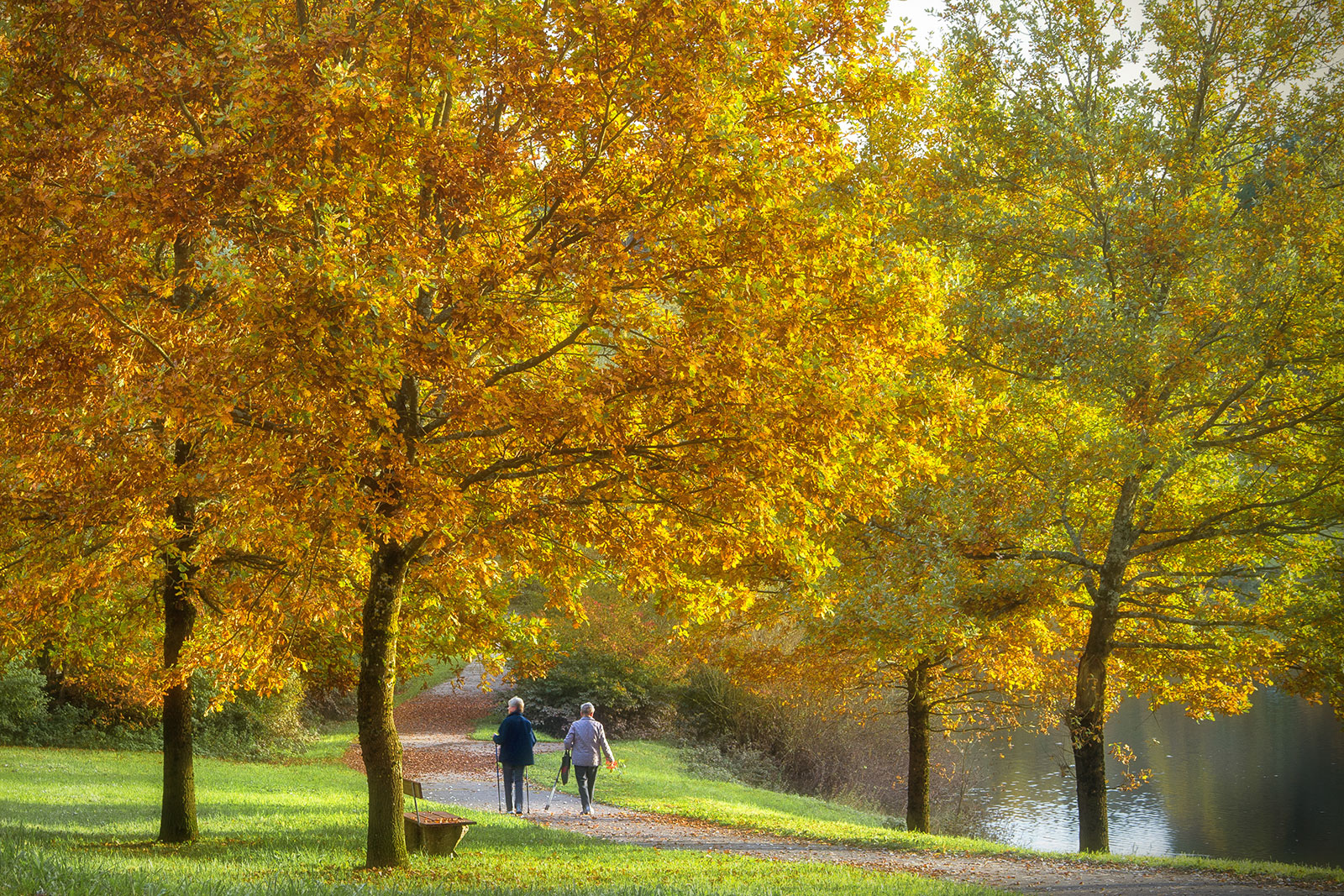 Altweiber Sommer