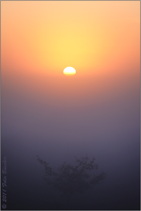 Altweiber-Sonnenaufgang im Recker Moor