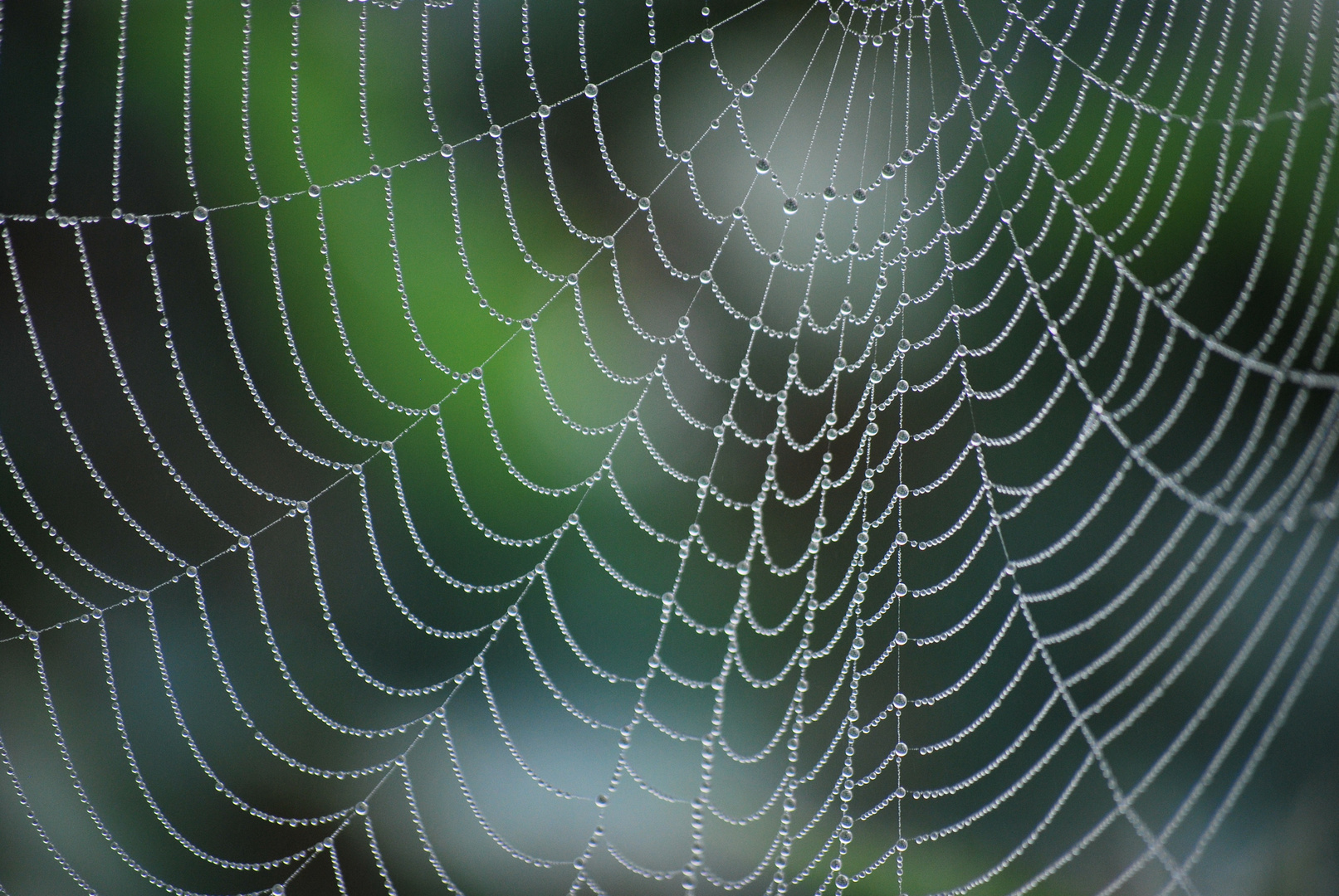 Altweibersommer 2011