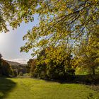 Altweibersommer 2020 in Herdecke (NRW)