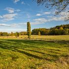 Altweibersommer 2020 in Herdecke (NRW)