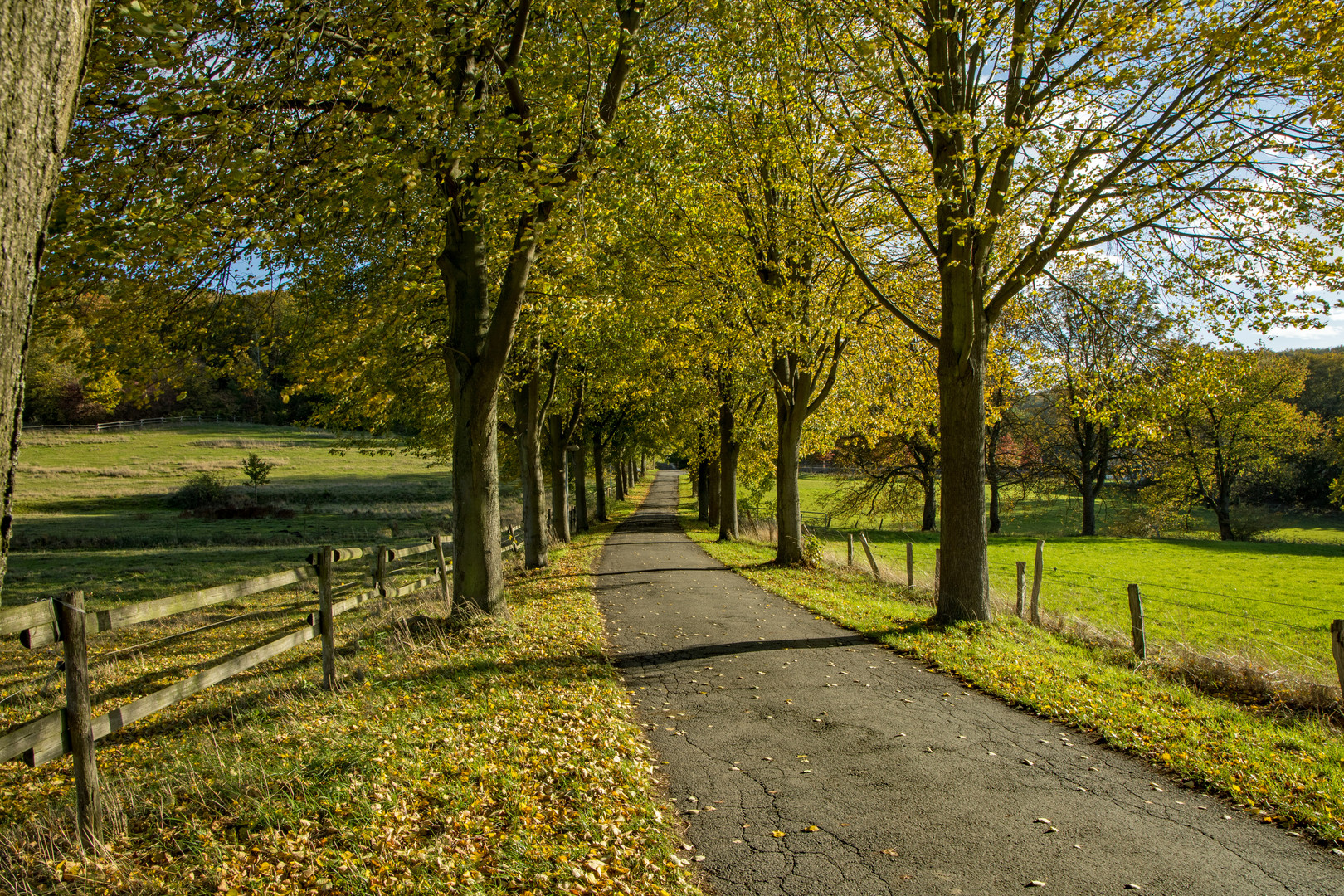 Altweibersommer 2020 in Herdecke (NRW)