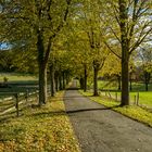 Altweibersommer 2020 in Herdecke (NRW)