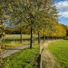 Altweibersommer 2020 in Herdecke (NRW)