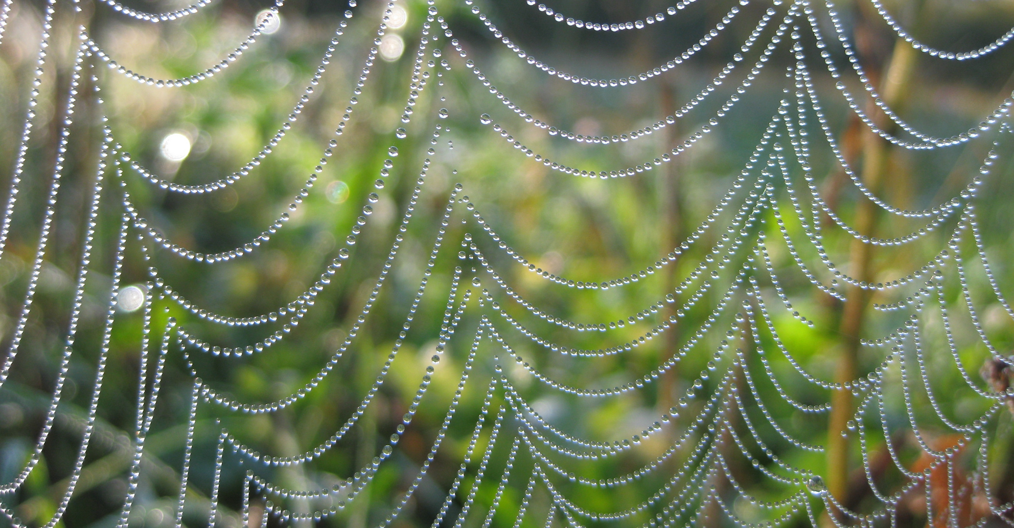 Altweibersommer