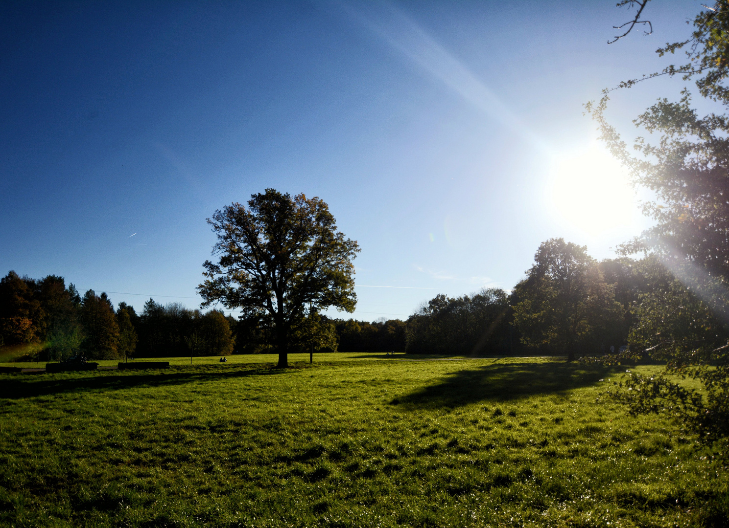 Altweibersommer