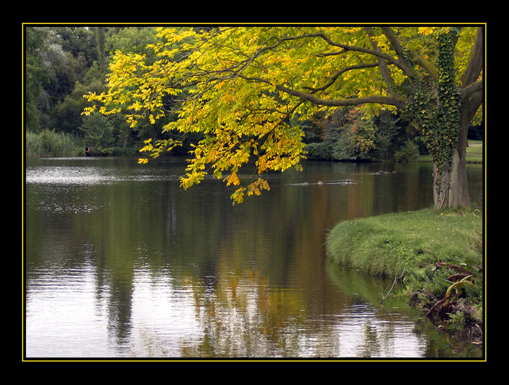 Altweibersommer