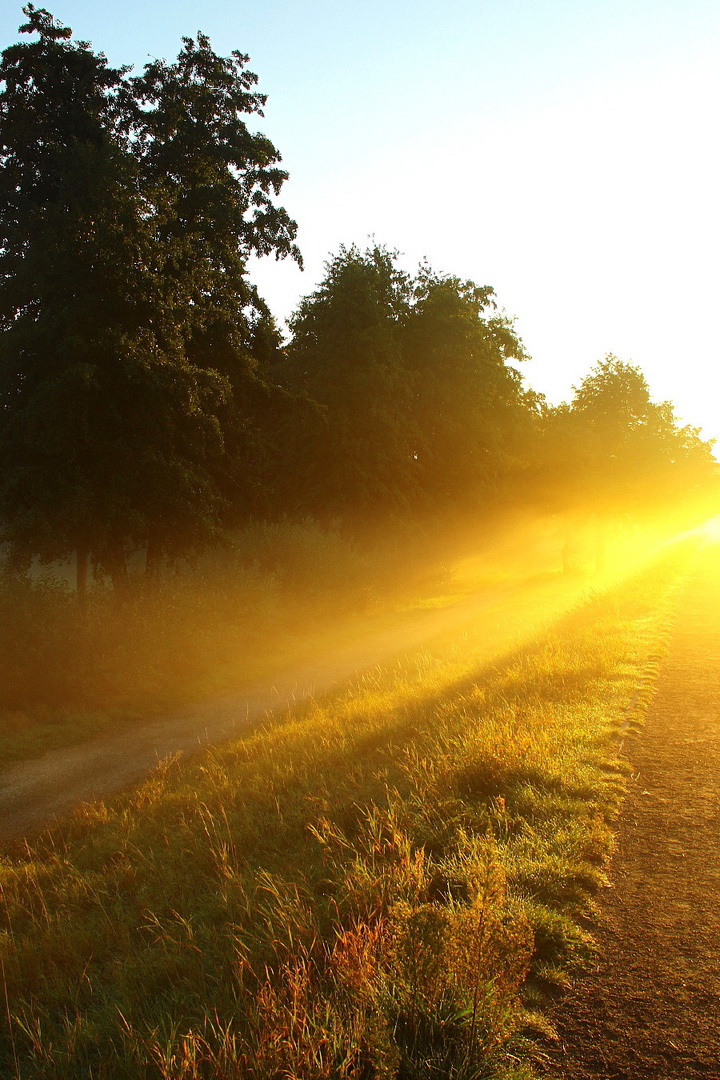 Altweibersommer (4)