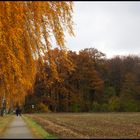 Altweibersommer