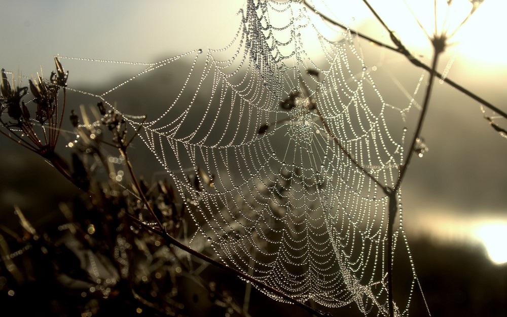 Altweibersommer