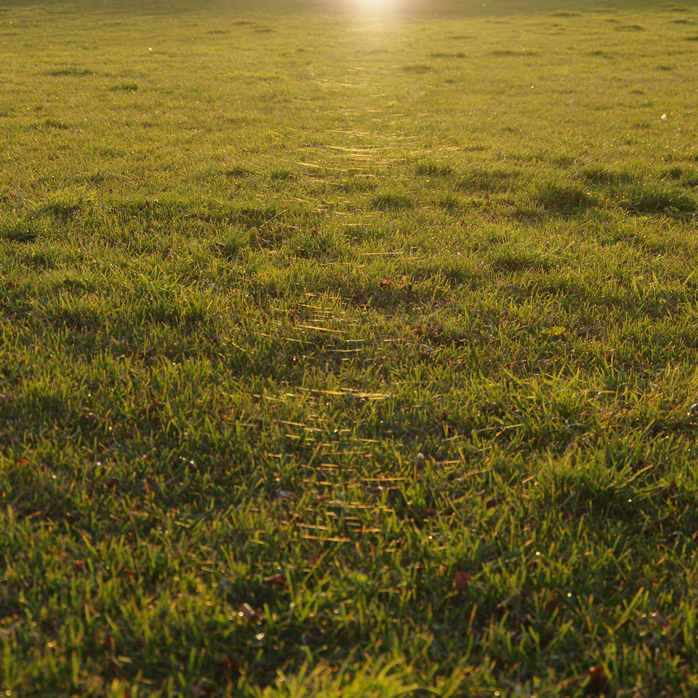 Altweibersommer