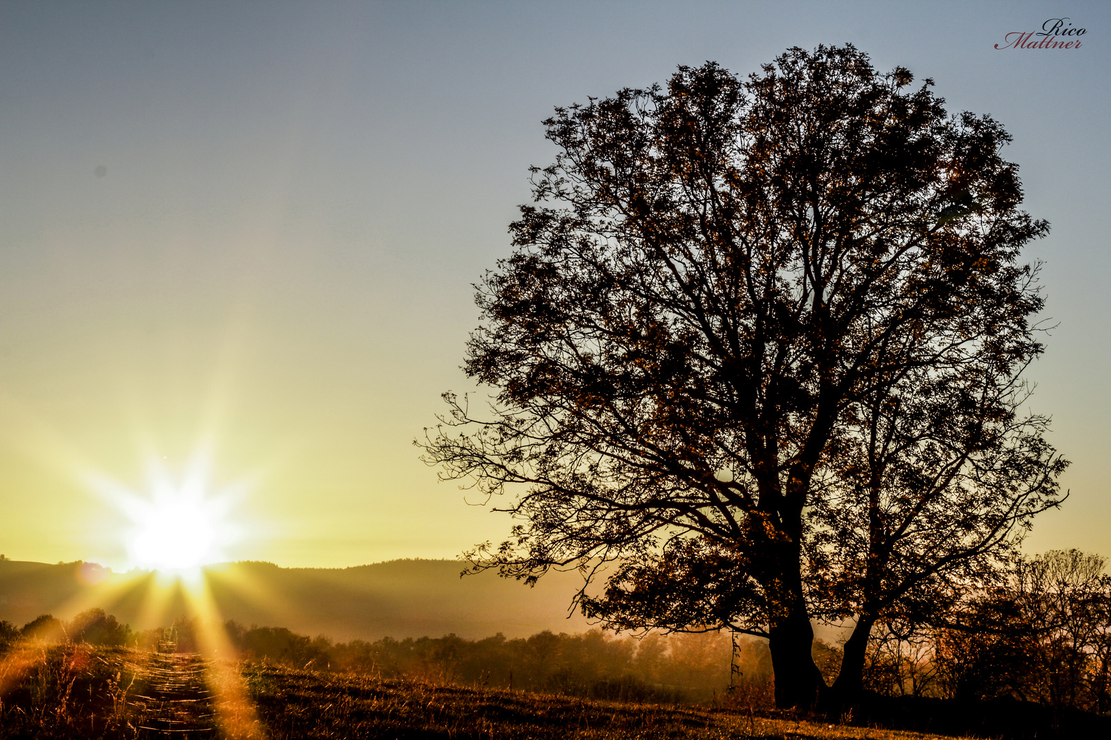 Altweibersommer