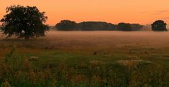 Altweibersommer