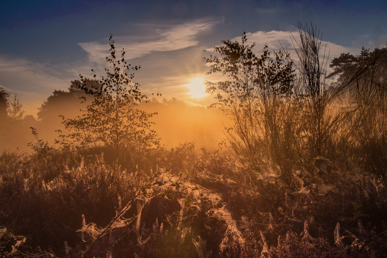 Altweibersommer 