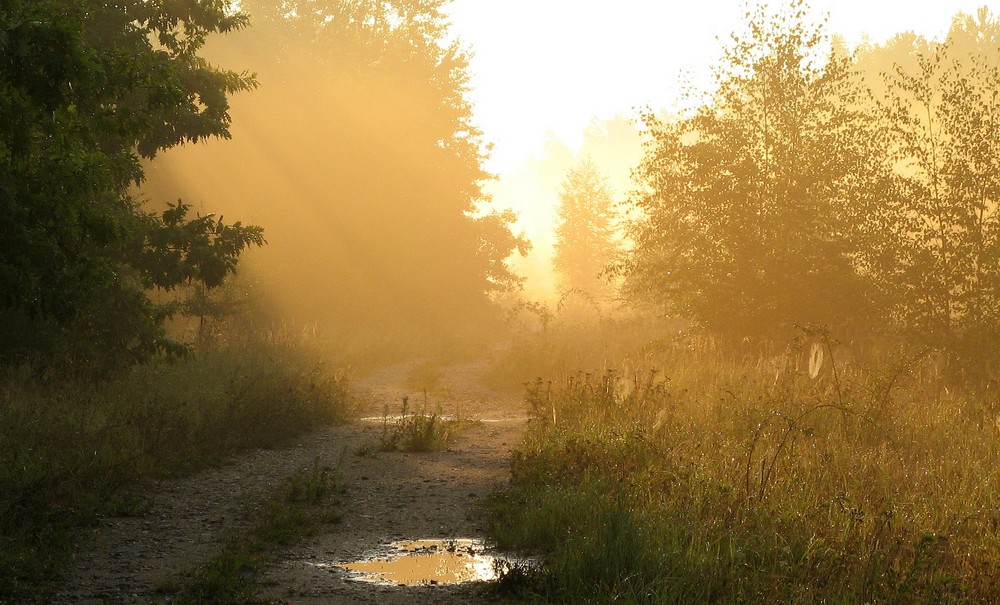 Altweibersommer