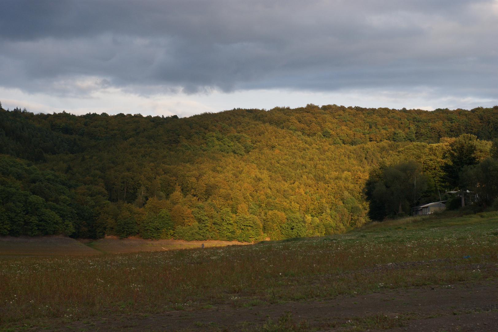 Altweibersommer