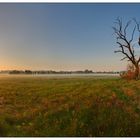 Altweibersommer am Morgen