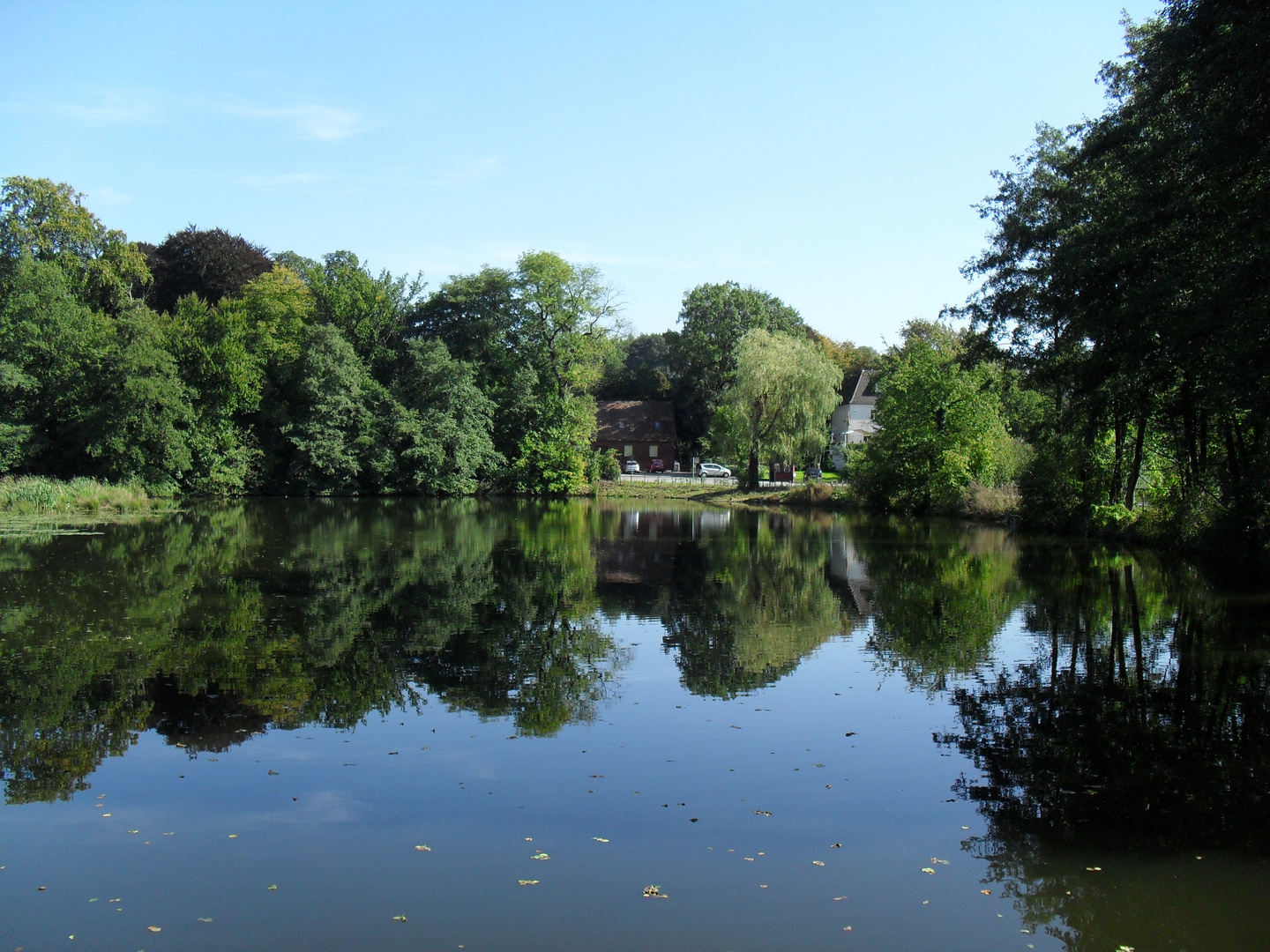 Altweibersommer am Mühlenteich