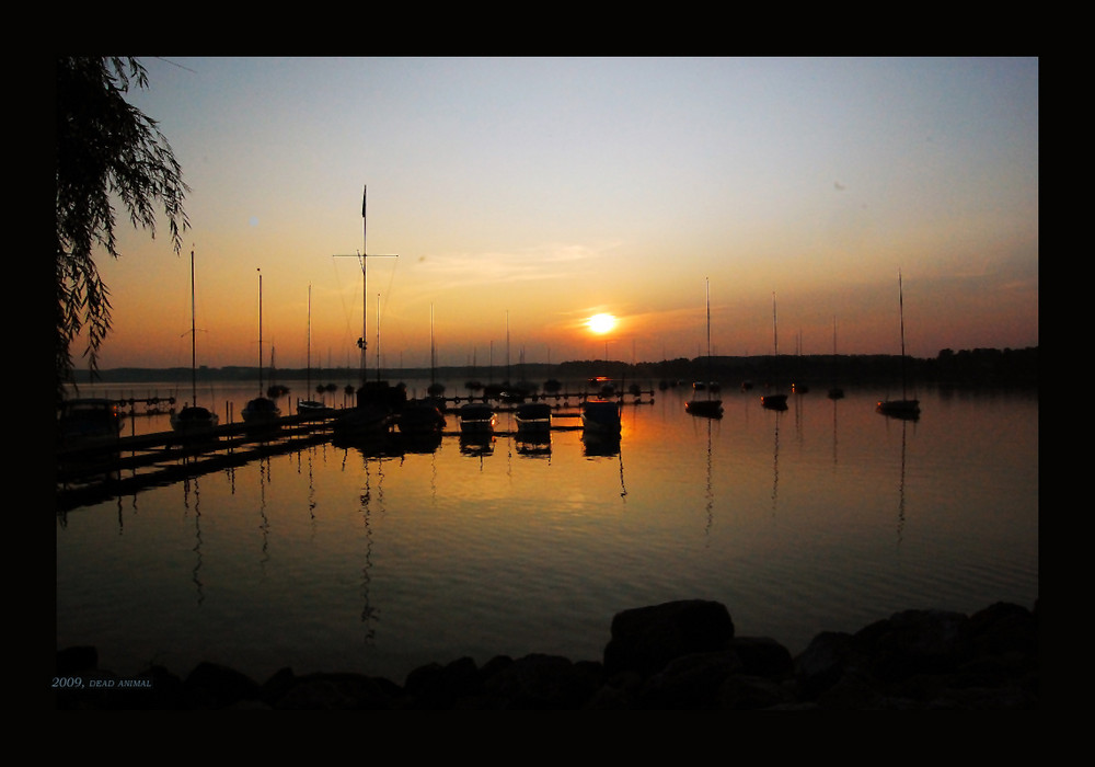 "Altweibersommer" am Wörthsee