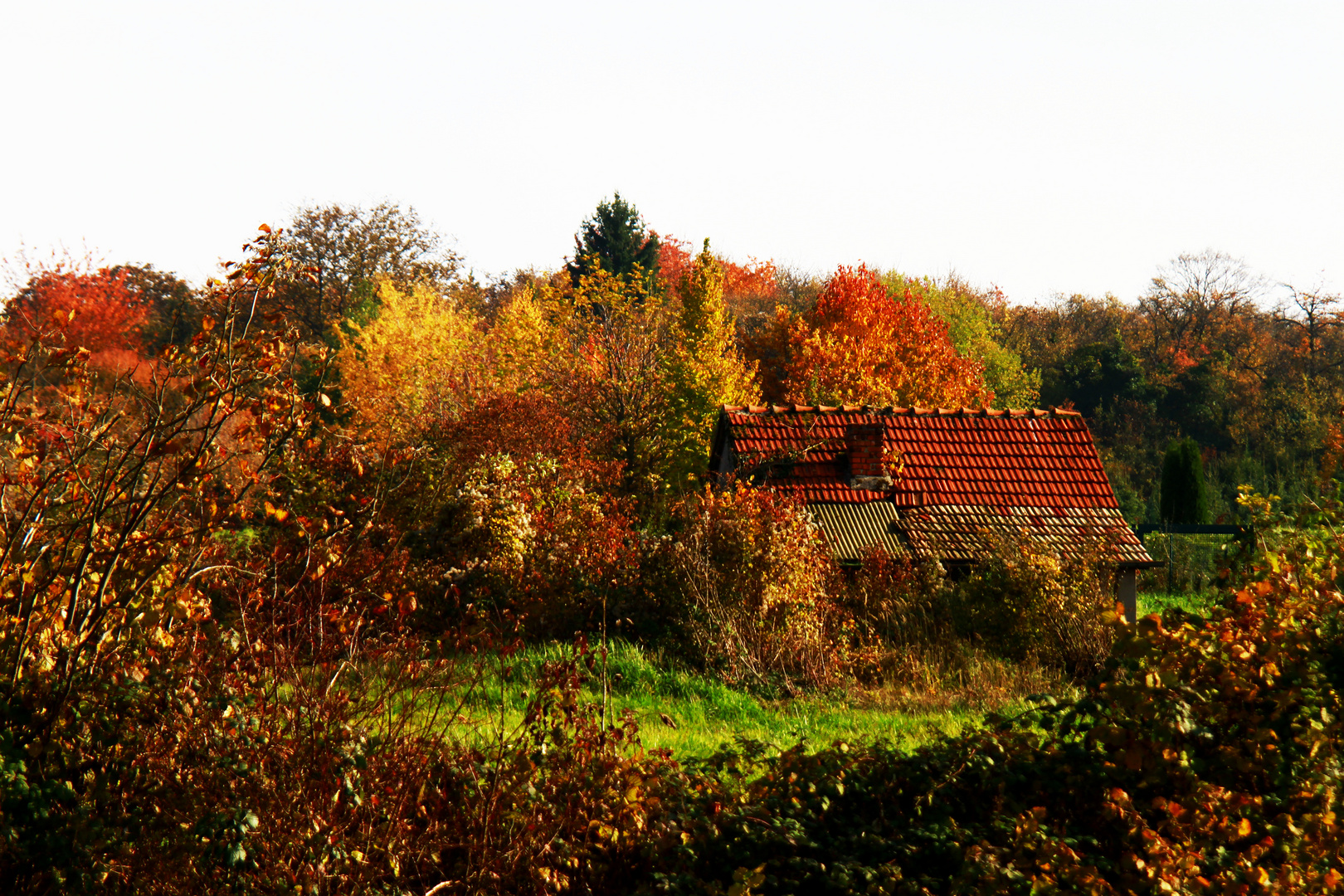 Altweibersommer...