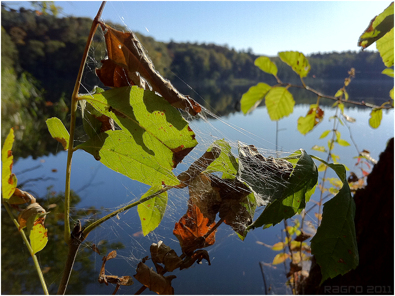 Altweibersommer