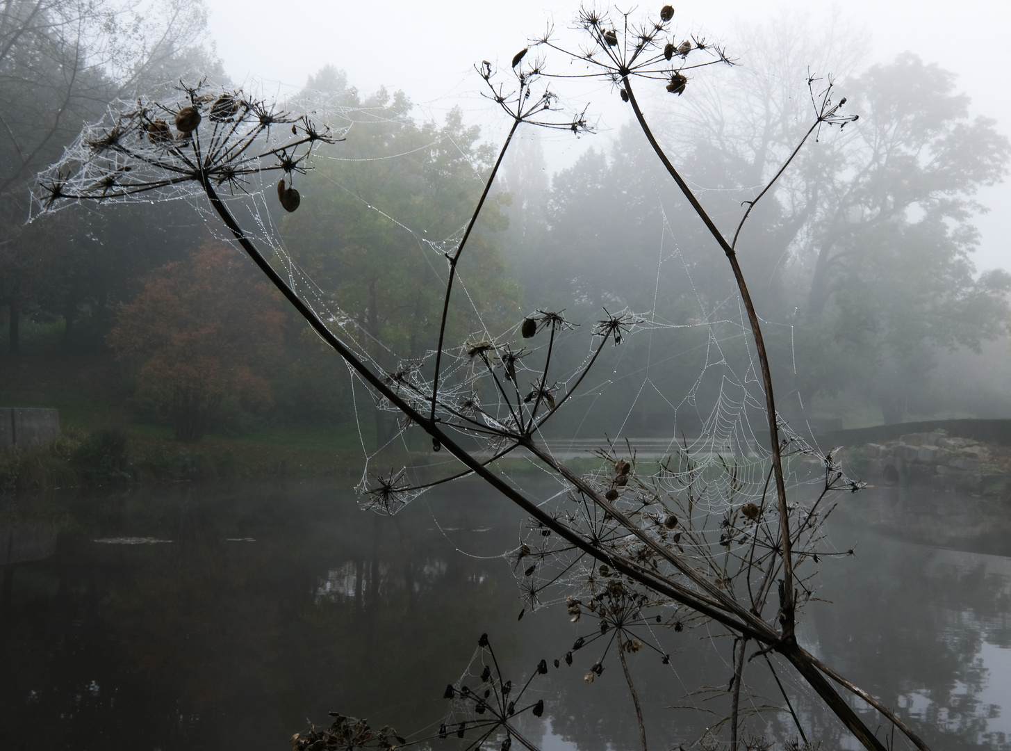 Altweibersommer