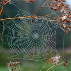 Altweibersommer